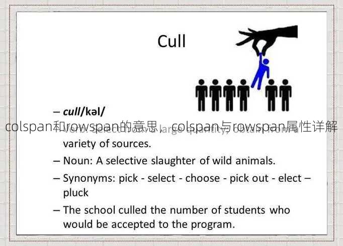 colspan和rowspan的意思