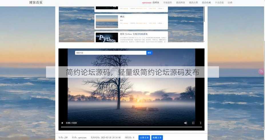 简约论坛源码