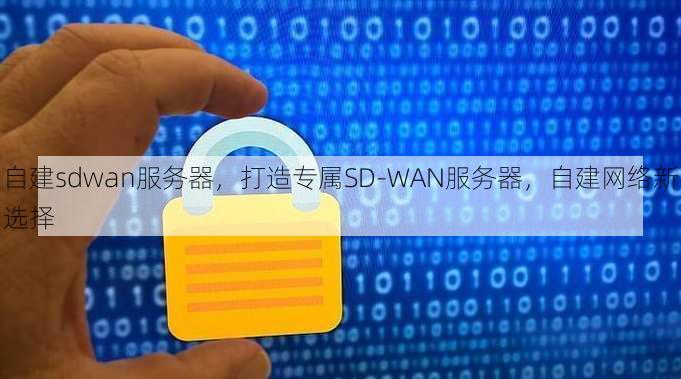 自建sdwan服务器