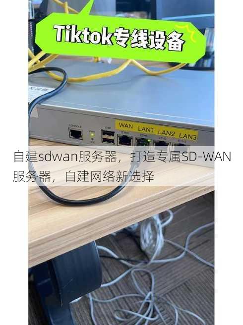 自建sdwan服务器