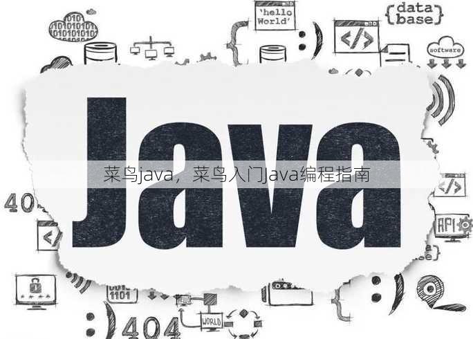 菜鸟java