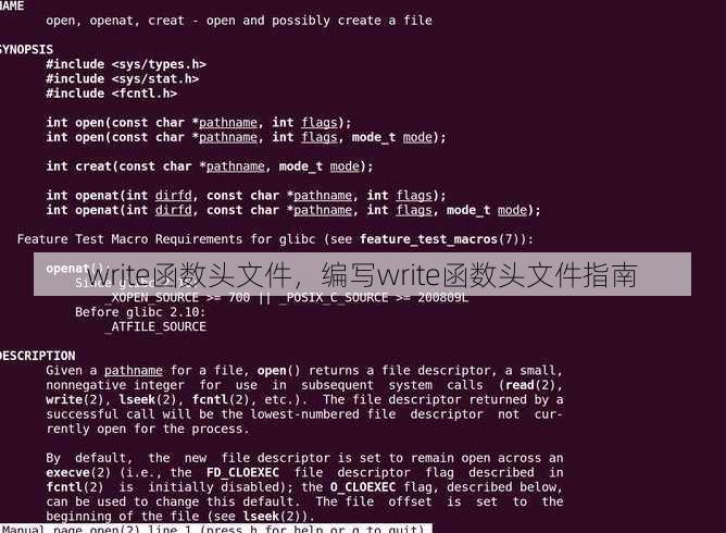 write函数头文件