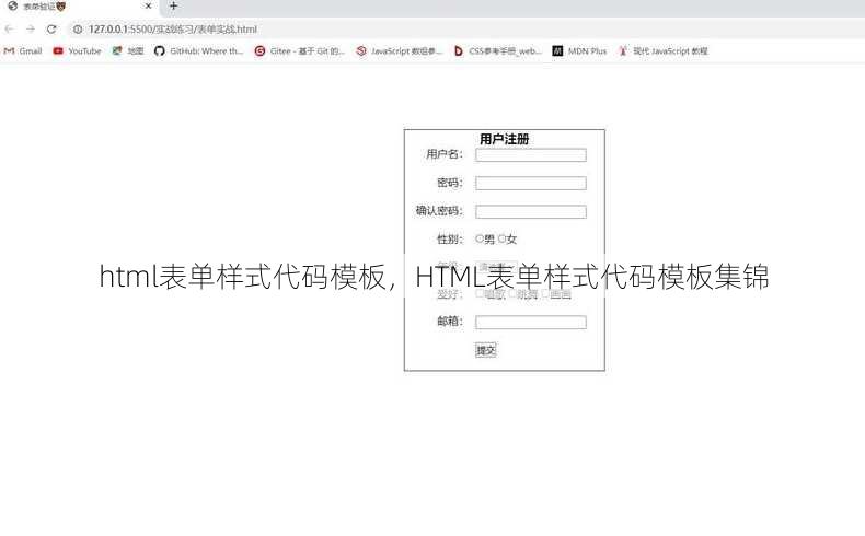 html表单样式代码模板