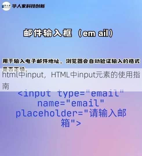 html中input