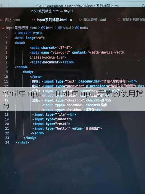 html中input