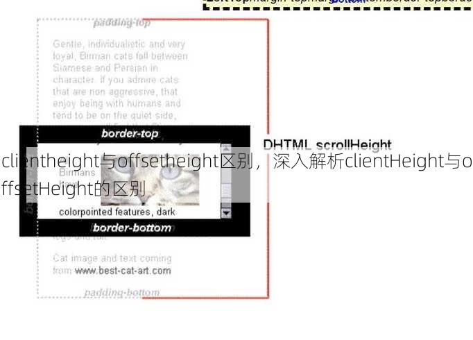 clientheight与offsetheight区别