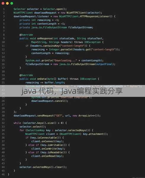 java 代码