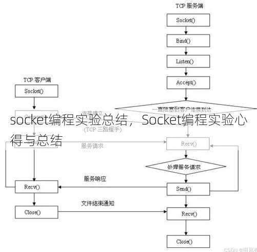 socket编程实验总结
