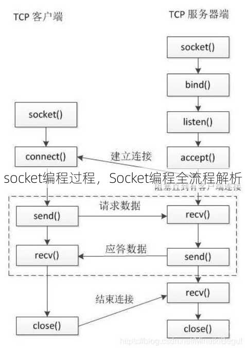 socket编程过程