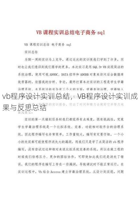 vb程序设计实训总结