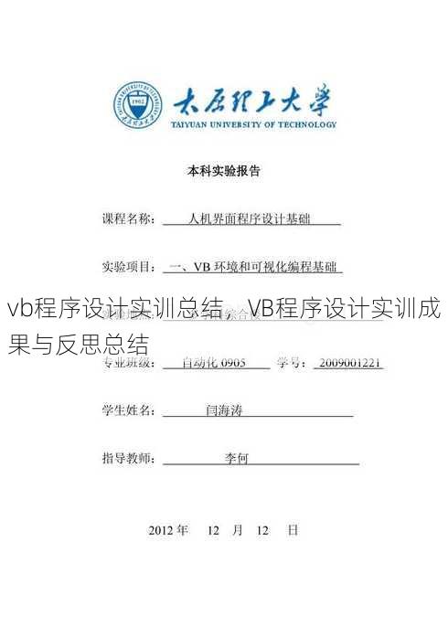 vb程序设计实训总结