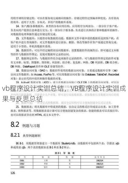 vb程序设计实训总结