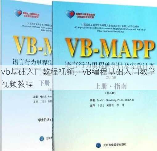 vb基础入门教程视频