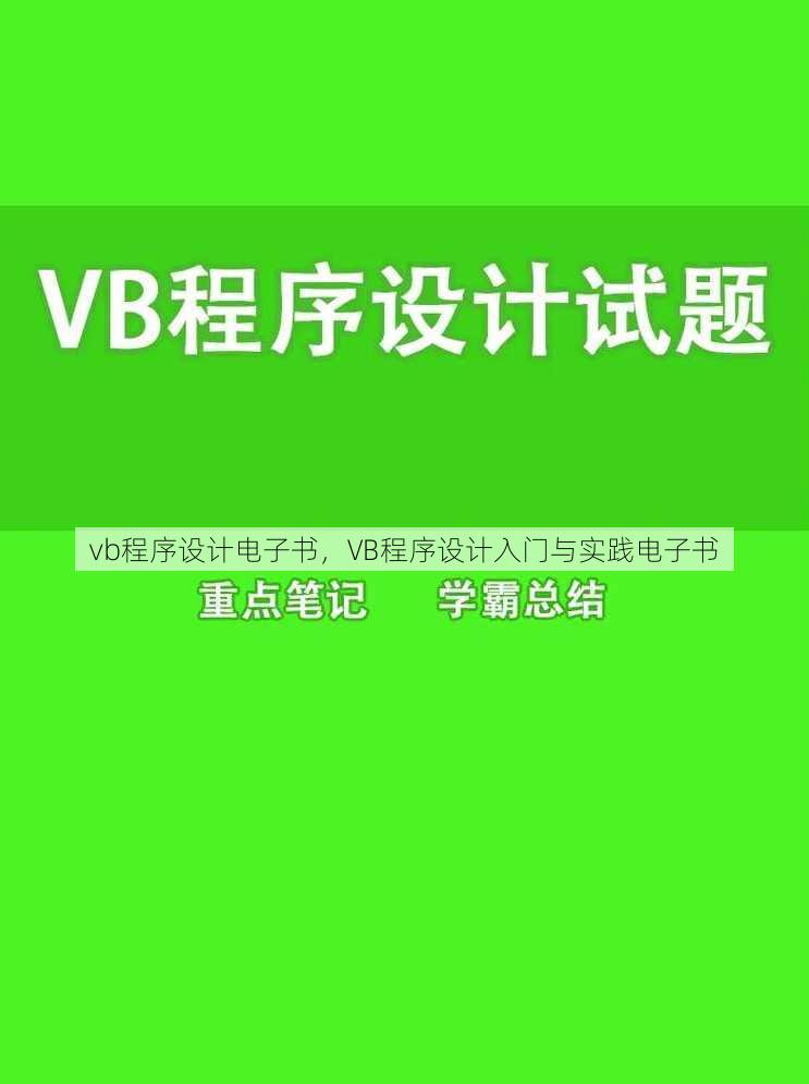 vb程序设计电子书