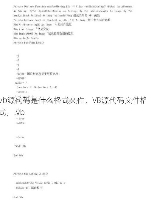 vb源代码是什么格式文件