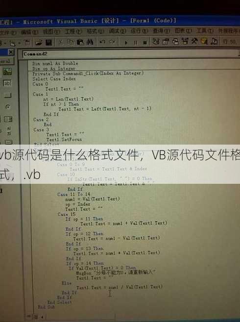 vb源代码是什么格式文件