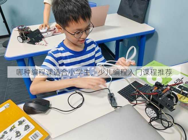 哪种编程课适合小学生