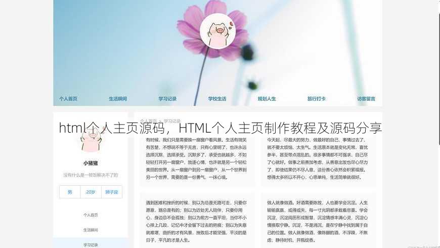 html个人主页源码
