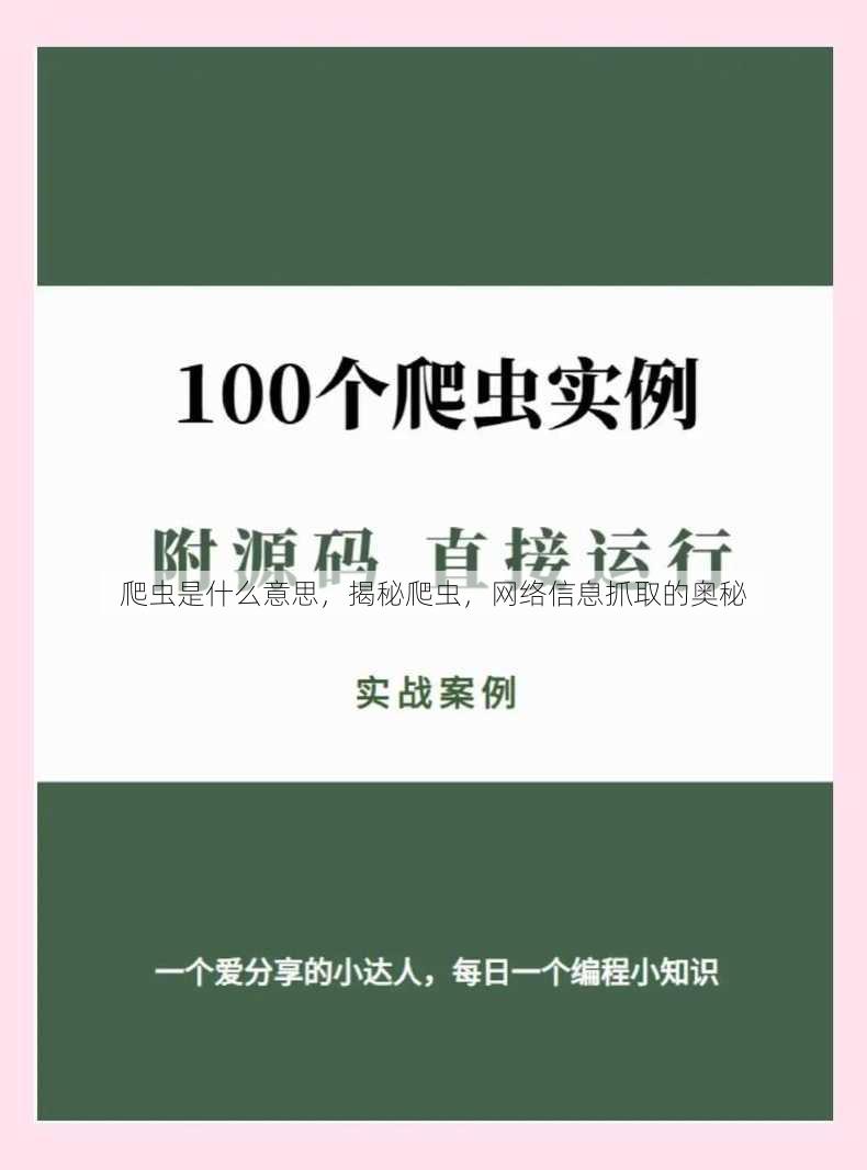 爬虫是什么意思