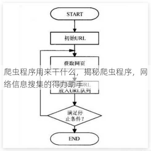 爬虫程序用来干什么