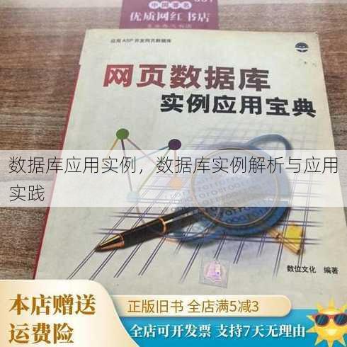 数据库应用实例