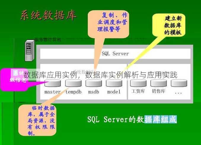数据库应用实例