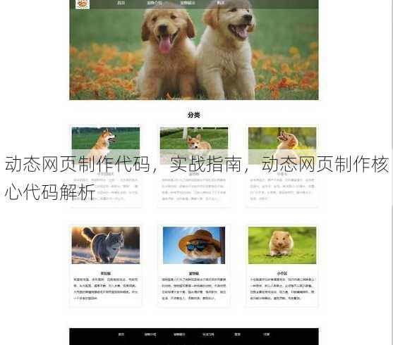动态网页制作代码