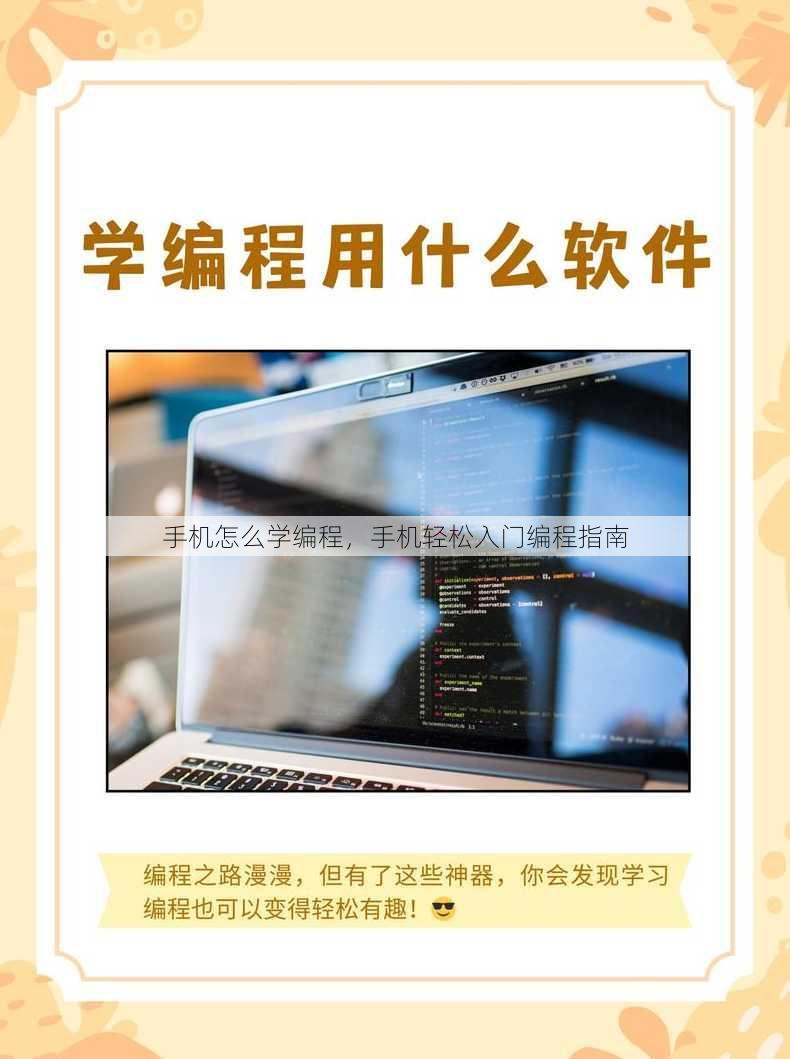 手机怎么学编程