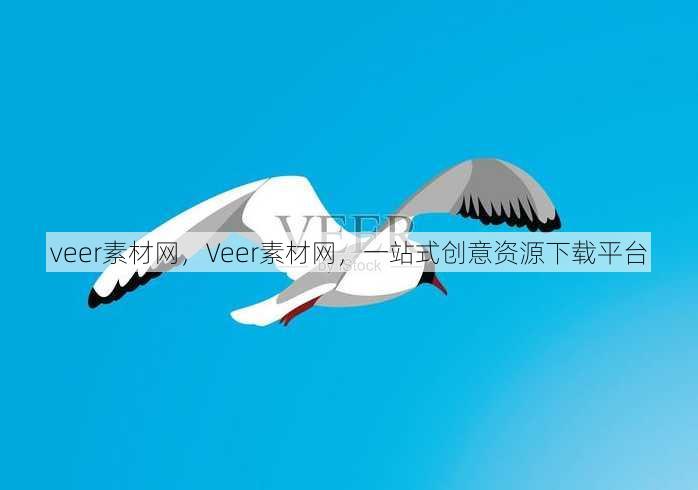 veer素材网