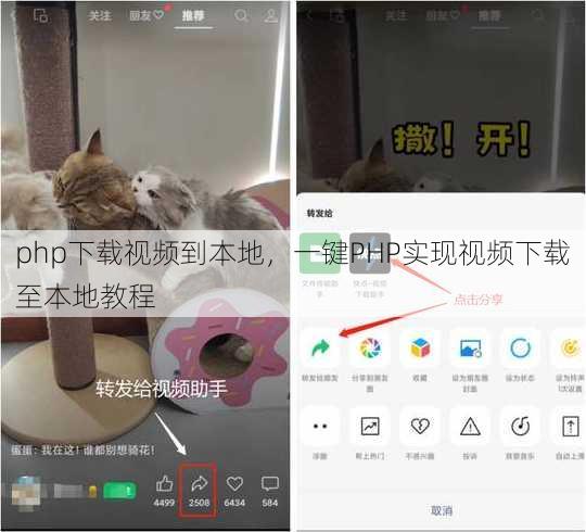 php下载视频到本地