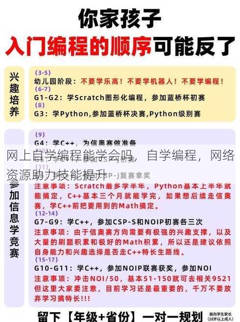 网上自学编程能学会吗