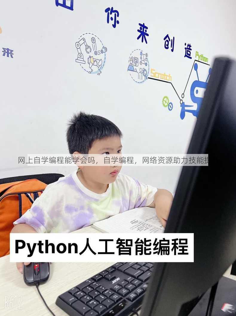 网上自学编程能学会吗