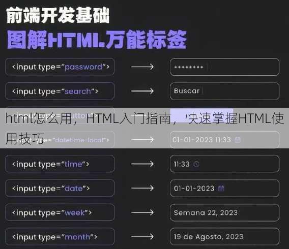 html怎么用