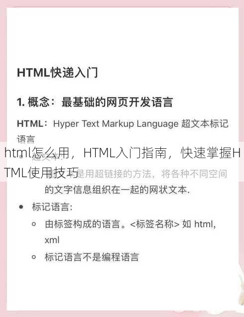 html怎么用