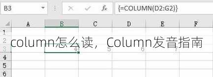 column怎么读