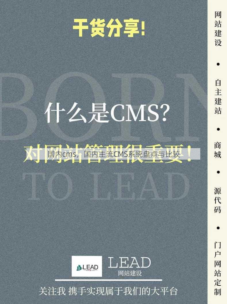 国内cms