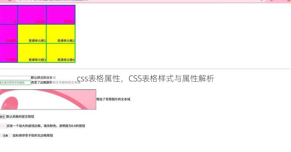 css表格属性