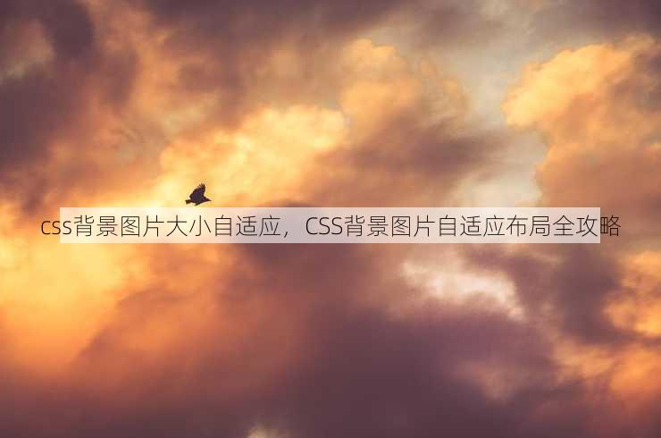 css背景图片大小自适应