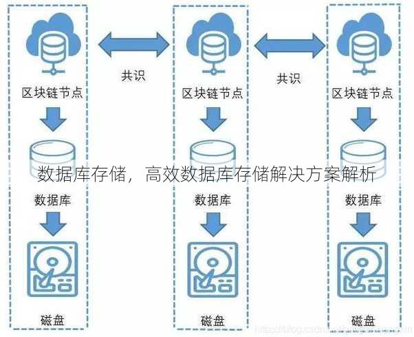 数据库存储