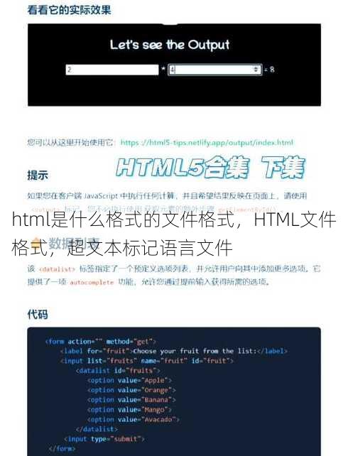 html是什么格式的文件格式