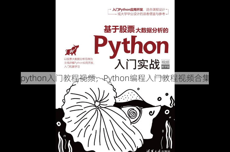 python入门教程视频