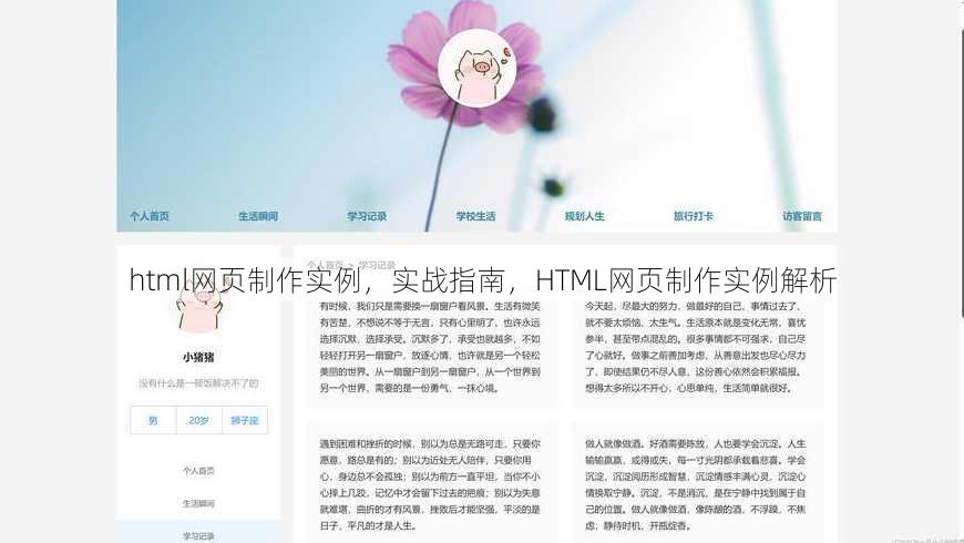 html网页制作实例