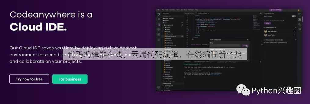 代码编辑器在线
