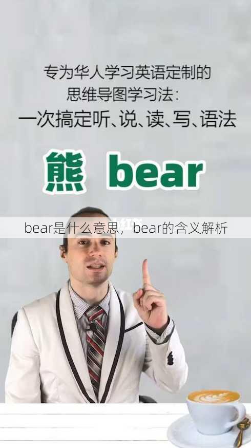 bear是什么意思