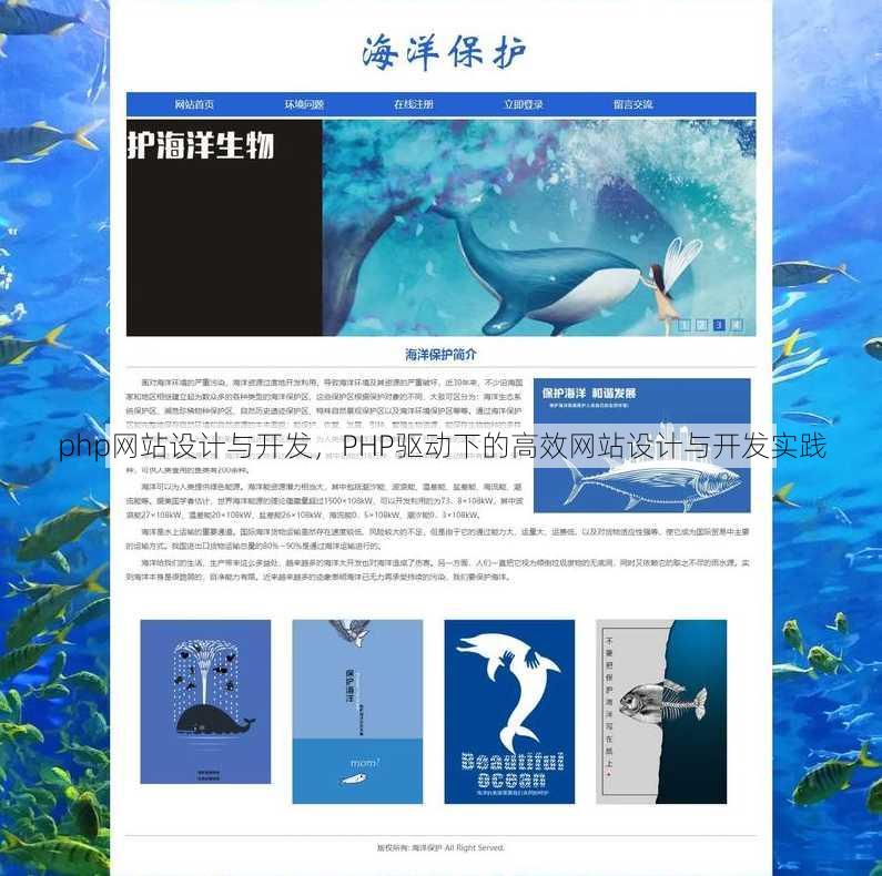 php网站设计与开发