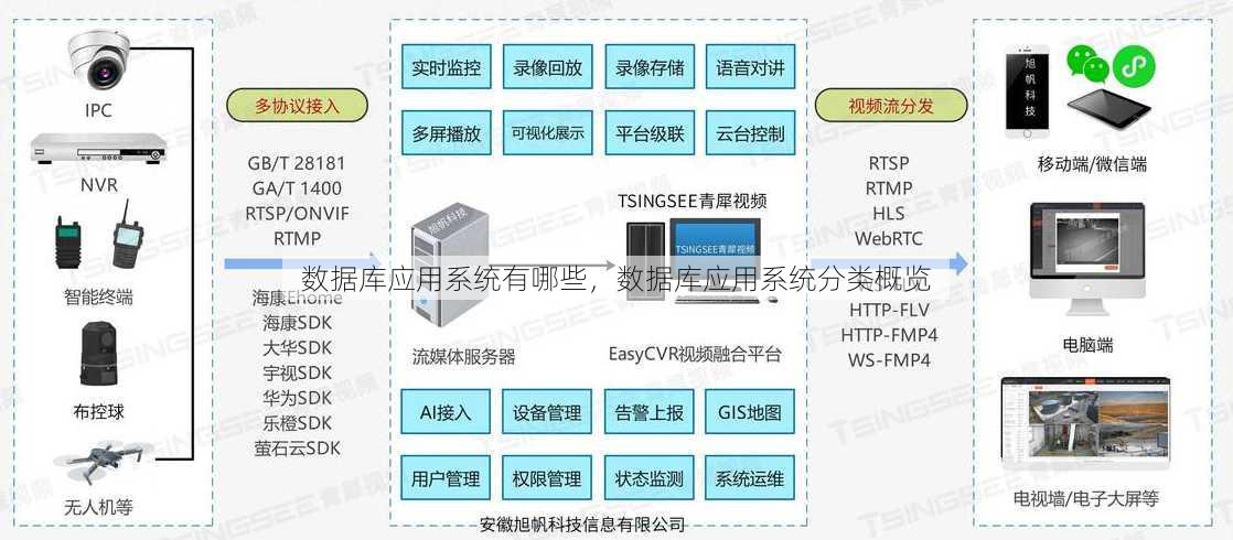 数据库应用系统有哪些