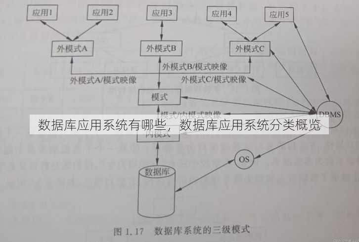 数据库应用系统有哪些