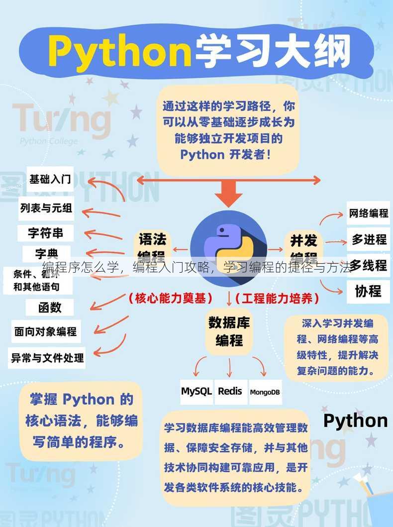 编程序怎么学