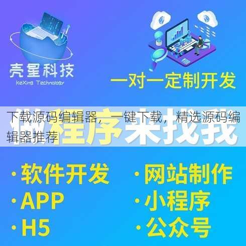 下载源码编辑器
