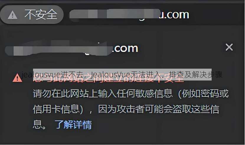 jealousvue进不去